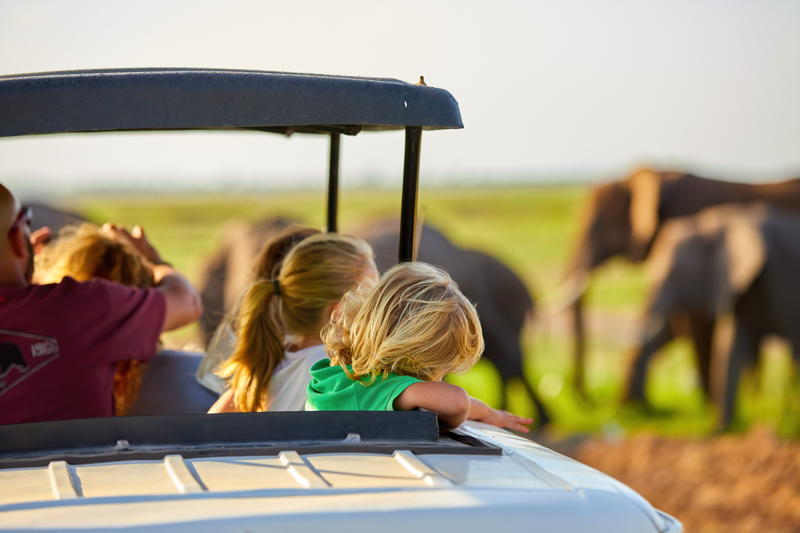 Safari i Afrika med barnen